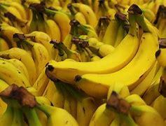 Mimpi Melihat Pisang Masak Pohon